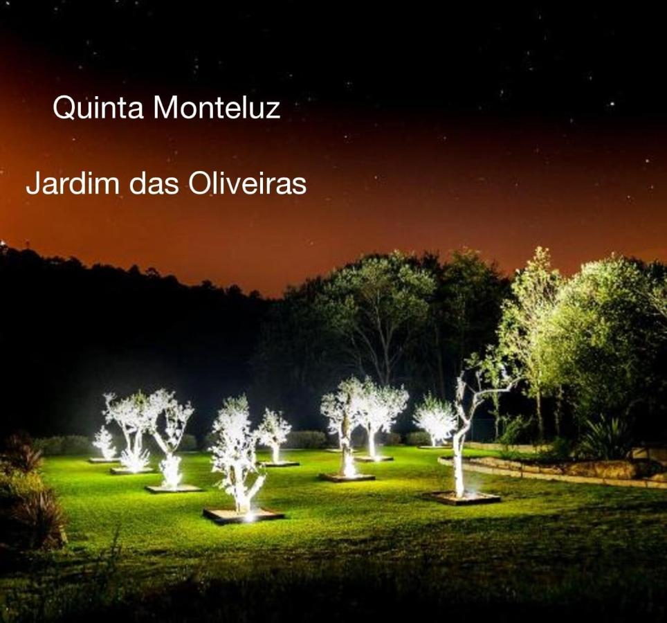 Quinta Monteluz Apartment Viseu Ngoại thất bức ảnh