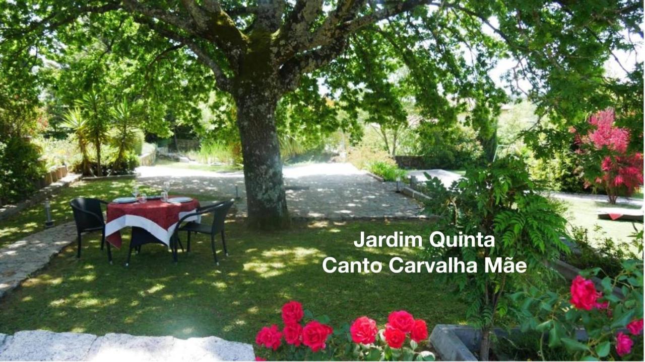 Quinta Monteluz Apartment Viseu Ngoại thất bức ảnh