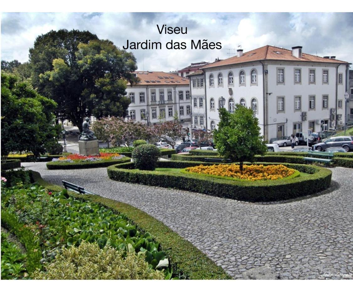 Quinta Monteluz Apartment Viseu Ngoại thất bức ảnh